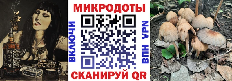 Псилоцибиновые грибы Cubensis Кашира