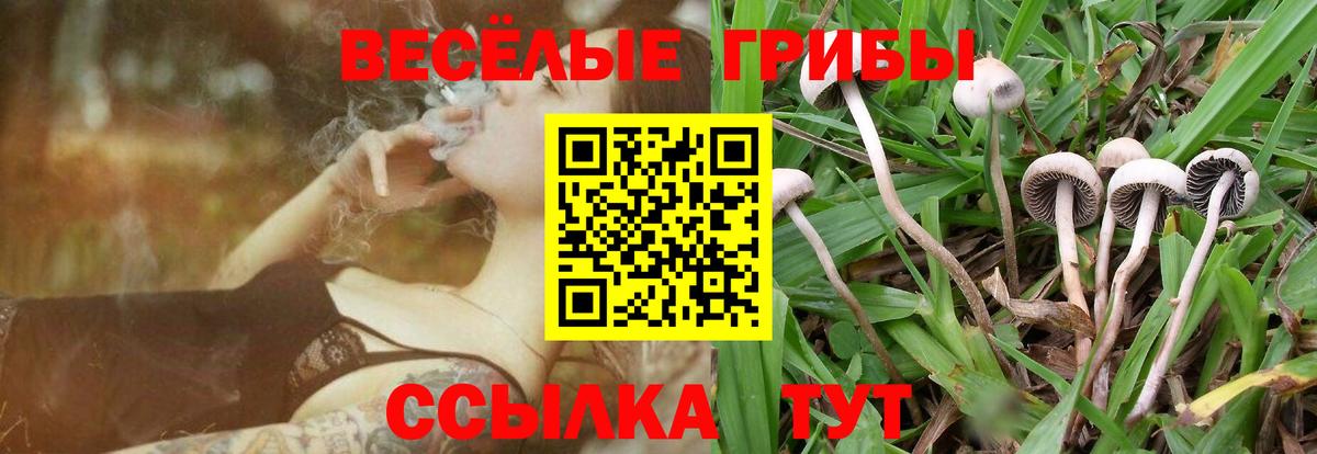 Кашира  Галлюциногенные грибы Psilocybe  Псилоцибиновые грибы ЛСД  Вход с VPN 